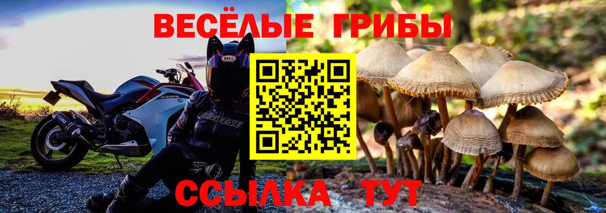 Галлюциногенные грибы GOLDEN TEACHER  Вход с VPN  Псилоцибиновые грибы ЛСД  Учалы 